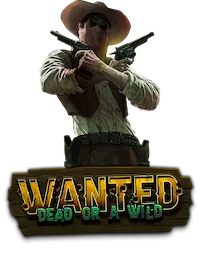 Wanted Dead or a Wild presentation